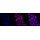 KD-Validated K7 Rabbit mAb (20 μl)