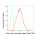 KD-Validated FASN Rabbit mAb (20 μl)