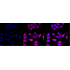 KD-Validated ACL Rabbit mAb (20 μl)