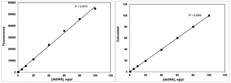 1X dsDNA BR Assay Kit