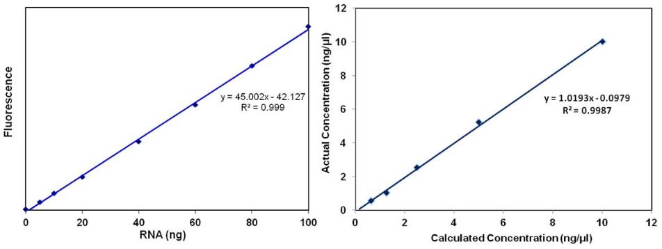 RNA HS Assay Kit
