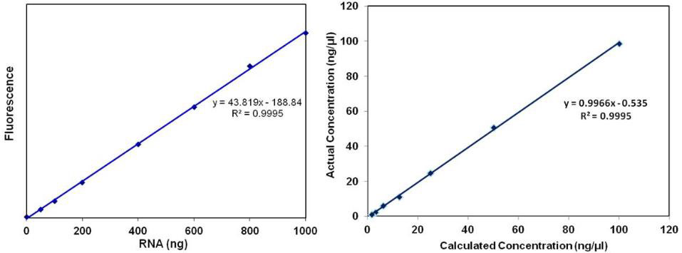 RNA BR Assay Kit