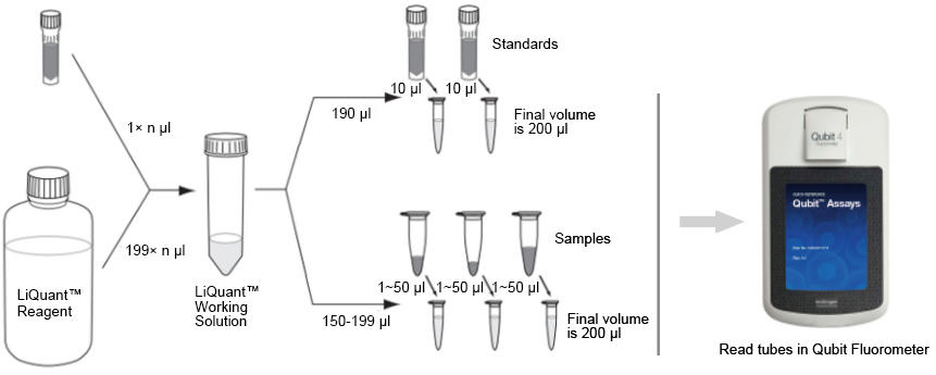 qubit microrna assay kit