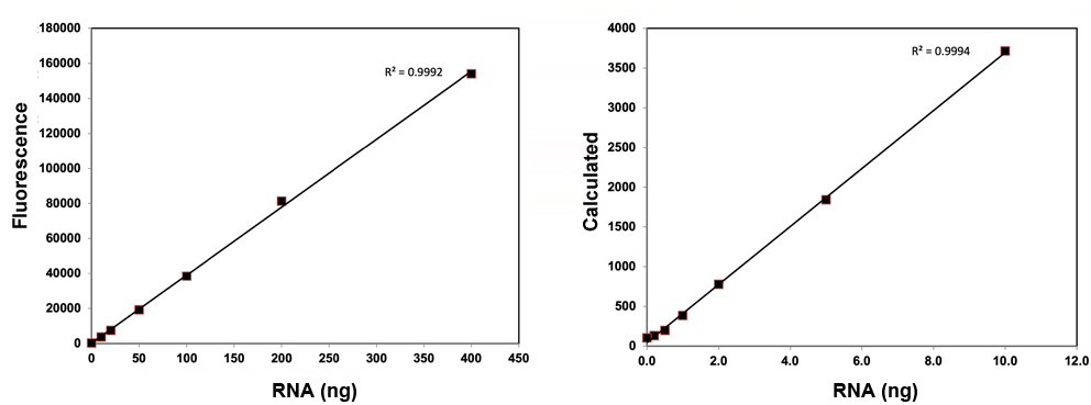 ribogreen rna assay kit