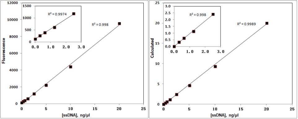 ssDNA Assay Kit