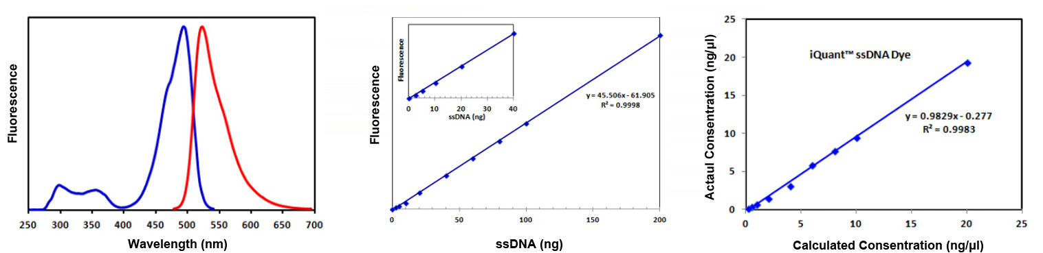 ssDNA Assay Kit