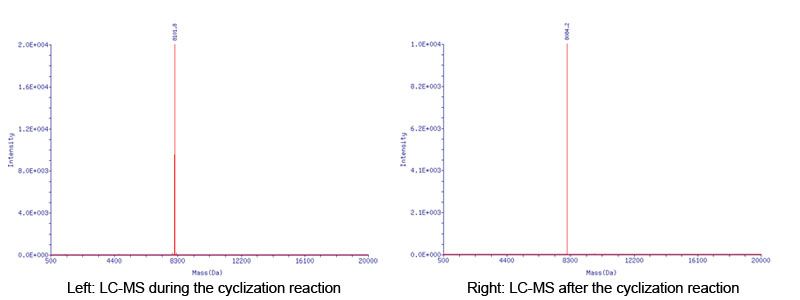 circRNA synthesis