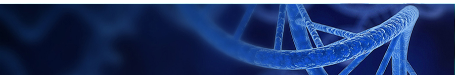 Plasmid DNA Preparation