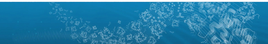 IntactProtein™ Cell-Tissue Lysis Kit