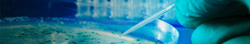 Metagenomics Sequencing